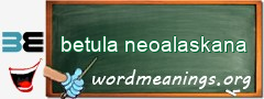 WordMeaning blackboard for betula neoalaskana